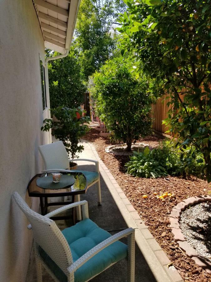 הוילה Luxury 2Br/1Ba Oasis In San Jose Ca מראה חיצוני תמונה
